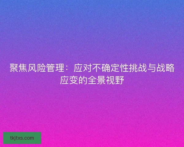 聚焦风险管理：应对不确定性挑战与战略应变的全景视野